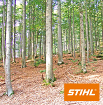 Das STIHL-Baumlexikon: für alle die mehr wissen möchten, über die faszinierende Holzwelt!