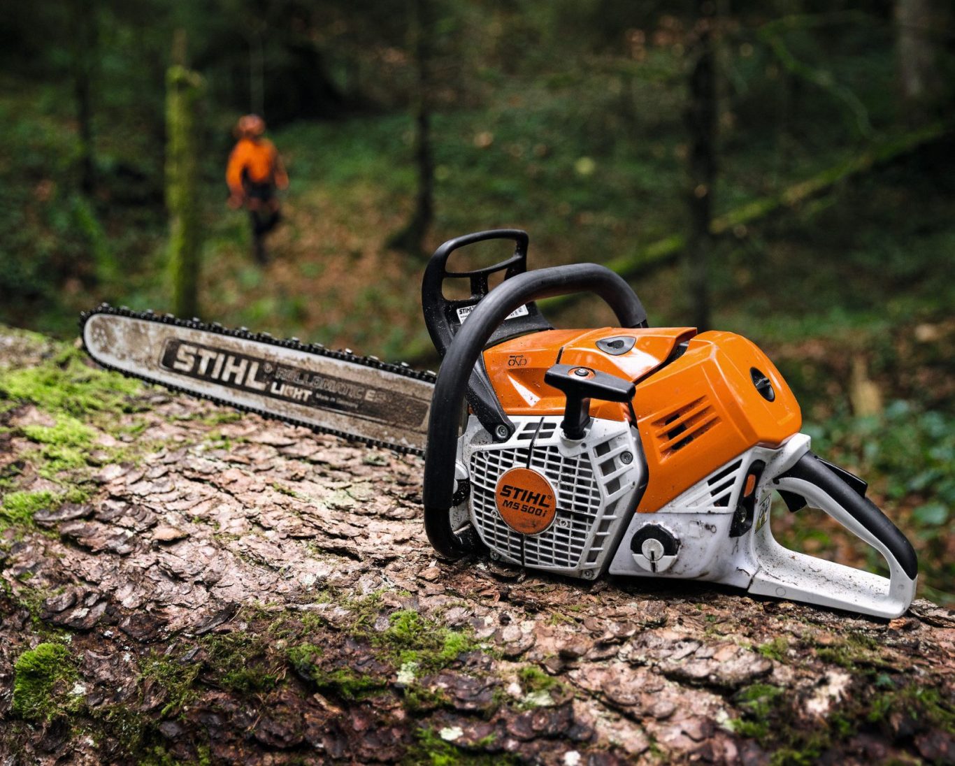 Stihl MS500i Motorsäge Stihl MS500i im Wald